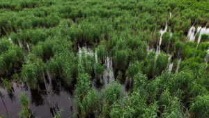 Drohnenaufnahme