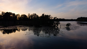 Drohnenaufnahme